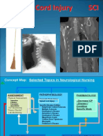 Spinal Cord Injury Snap I.ppt