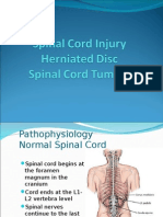 Spinal Cord Injury s2012