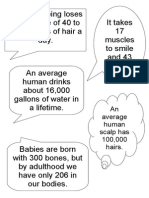 facts about th human body