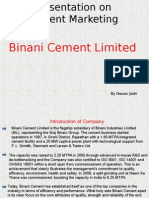 Binani Cement Limited: by Gaurav Joshi