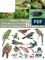 Aves y Herpetos de Bitaco