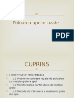 Poluarea Cu Crom