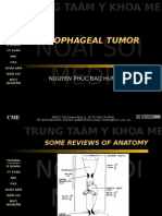 Noäi Soi Medic: Esophageal Tumor