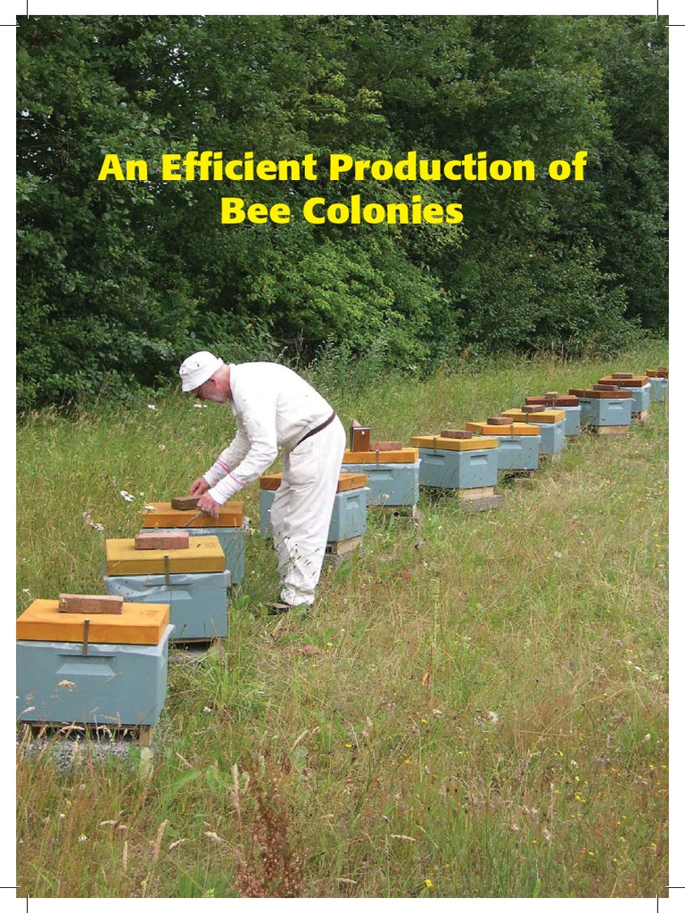 Efficient Production of Bee Colonies (Thorsen) | PDF | Beehive | Bees