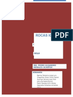 rocas igneas_trabajo.docx