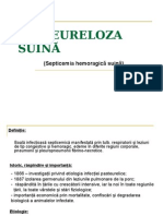 Pasteureloza Suina Bun