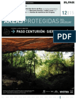 12 Paso Centurion Baja PDF