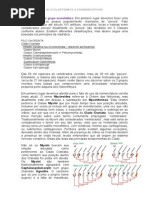 03 TEXTO Peixes Cyclostomata e Chondrichthyes