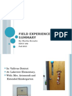 Field Experience Summary La