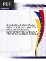 Guía para Registro en RUNSAI INSAI | PDF | Informática y tecnología de ...