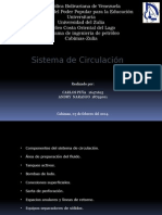 Sistema de Circulacion 