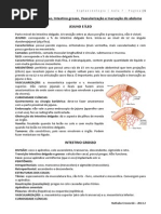 7. Jejuno, Íleo, Intestino Grosso, Vascularização e Inervação Do Abdome