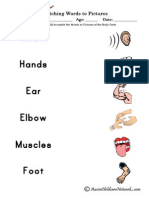 Body Parts Words to Pictures
