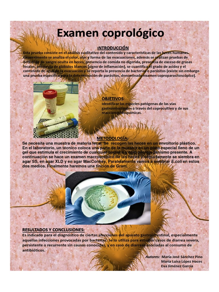 Análisis del Examen Coprológico | PDF