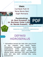 HIDROSEFALUS