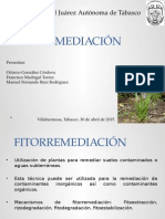 FITORREMEDIACIÓN