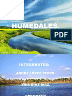 Humedales Ecología.