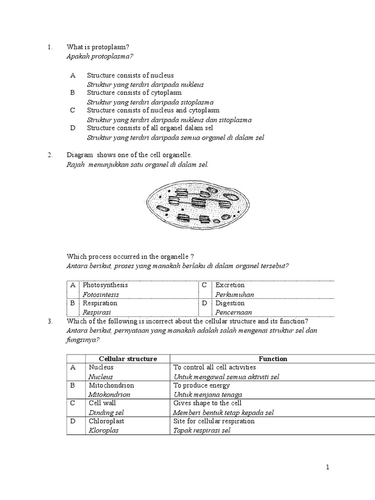Latihan Biologi Tingkatan 4  Latihan Biologi Tingkatan 4 Penting