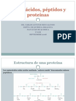 24 Aminoácidos, Péptidos y Proteínas