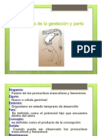 Gestacion y Parto