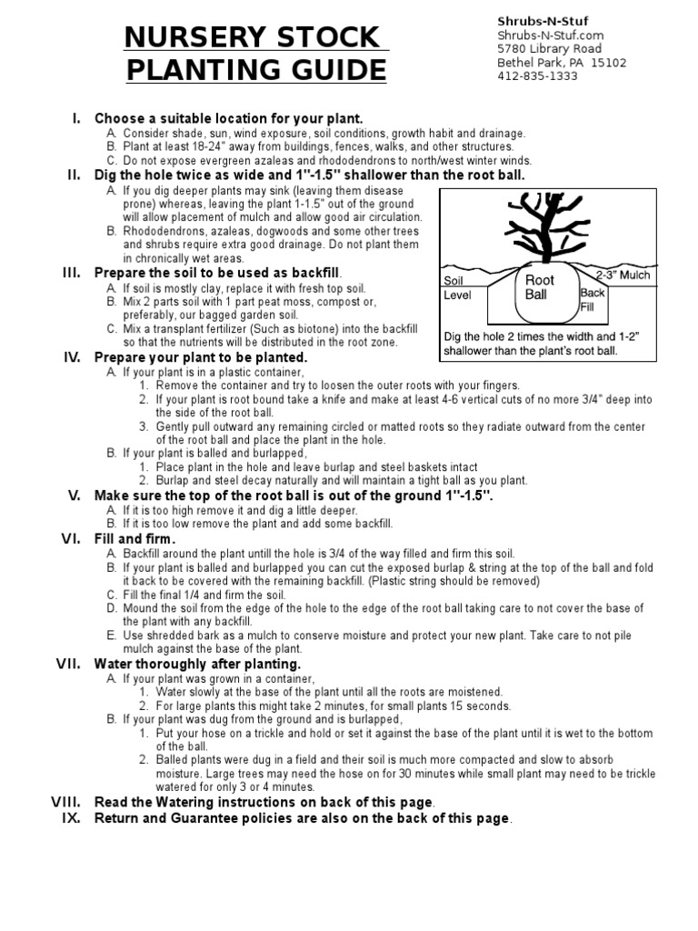 Planting Guide for Nursery Stock | PDF | Mulch | Soil