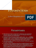 Fotosintesis Fase Luminosa