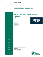 GolderAssociatesReportOnDamRemediationOptions14AUG29 PDF