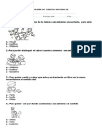 Prueba Ciencia 1° Los Sentidos Agosto