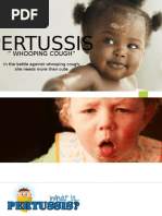 Pertussis or Whooping cough  powerpoint