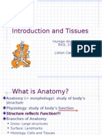 1 - Intro and Histo Grays