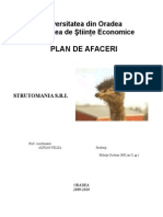 Plan Afaceri La Ec. Intreprinderii