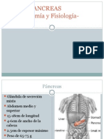 Pancreas