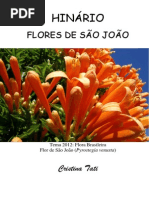 Cristina Tati - Flores de Sao Joao - Grafica