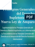 Principios Generales Del Derecho