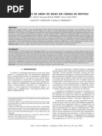 Processamento de Amido de Milho Em Câmara de Mistura