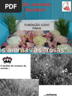  São aromas, Senhor!