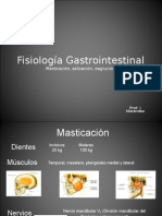 2fisiología Gastrointestinal