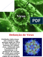 Caracteristicas Gerais Dos Virus