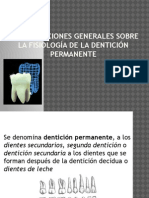 Morfologia de Denticion Permanente