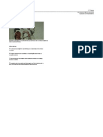fase-1-impressao.pdf
