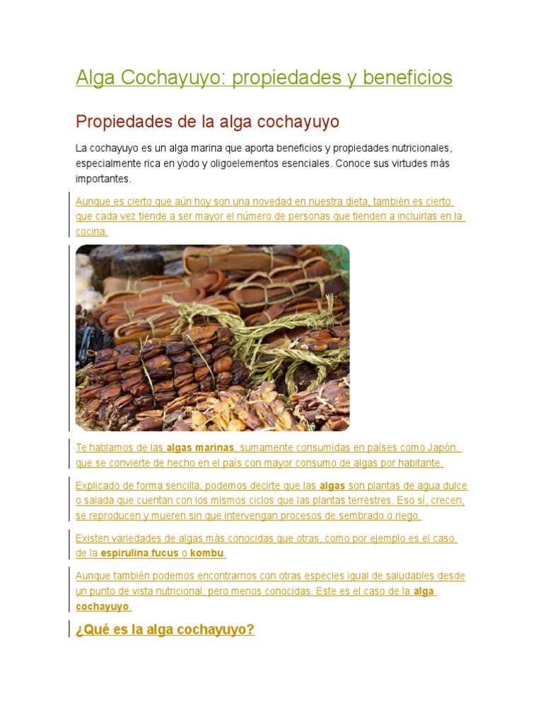 Algas Caracteristicas Tipos Planeta Biologia