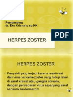 Herpes Zoster