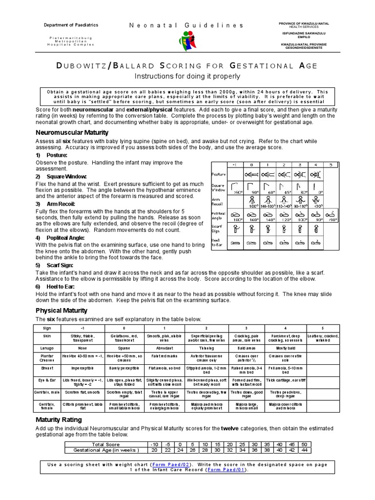 Dubowitz/Ballard Scoring Guidelines | PDF | Anatomical Terms Of Motion ...