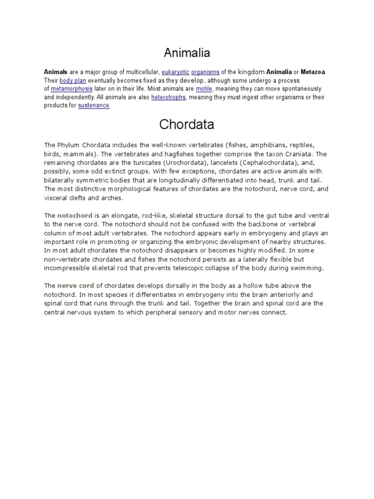 Overview of Animalia and Chordata | PDF | Social Science | Science ...