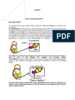 Mechanism of BPPV