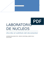 Laboratorio - Nucleos 4
