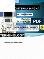 Mega Cisterna Magna