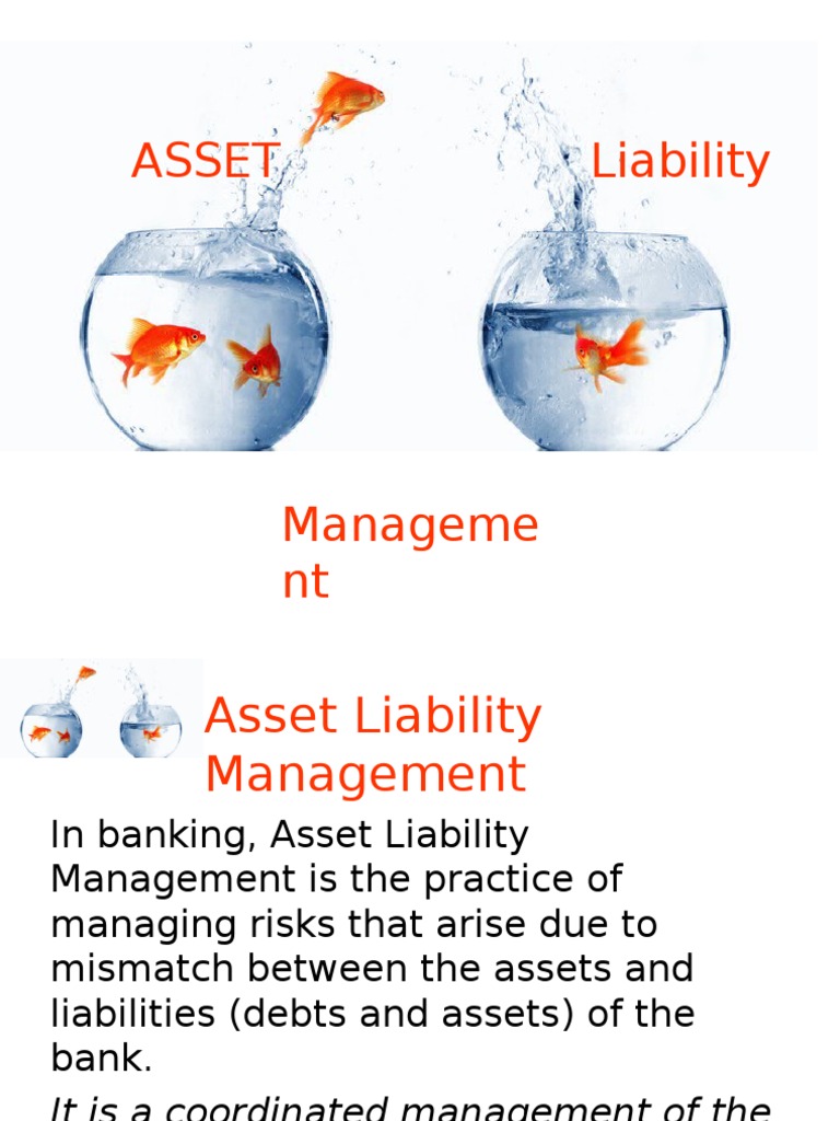 Asset Liability Management Banks Foreign Exchange Reserves