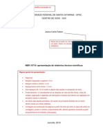 Modelo de Relatorio Tecnico-cientifico