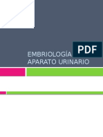 Expo Sistema Urogenital